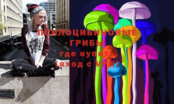 стафф Волосово